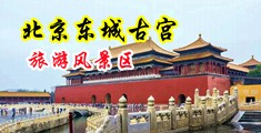 插插插骚逼视频中国北京-东城古宫旅游风景区